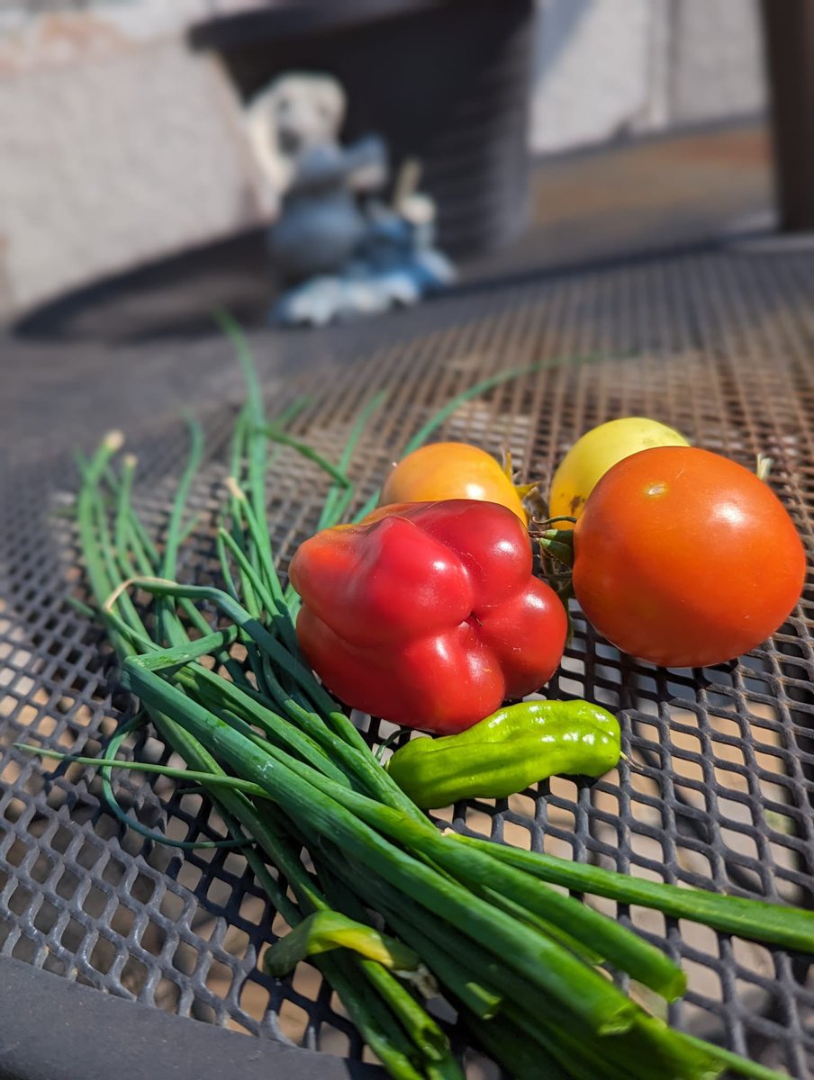 WHOA_Yoga's tweet photo. Fresh from the garden…nourishing the body and soul through mindful eating 🌱🧘🏾‍♀️

#mindfulmonday #yoga #cleaneating https://t.co/R6h2HyGnhZ