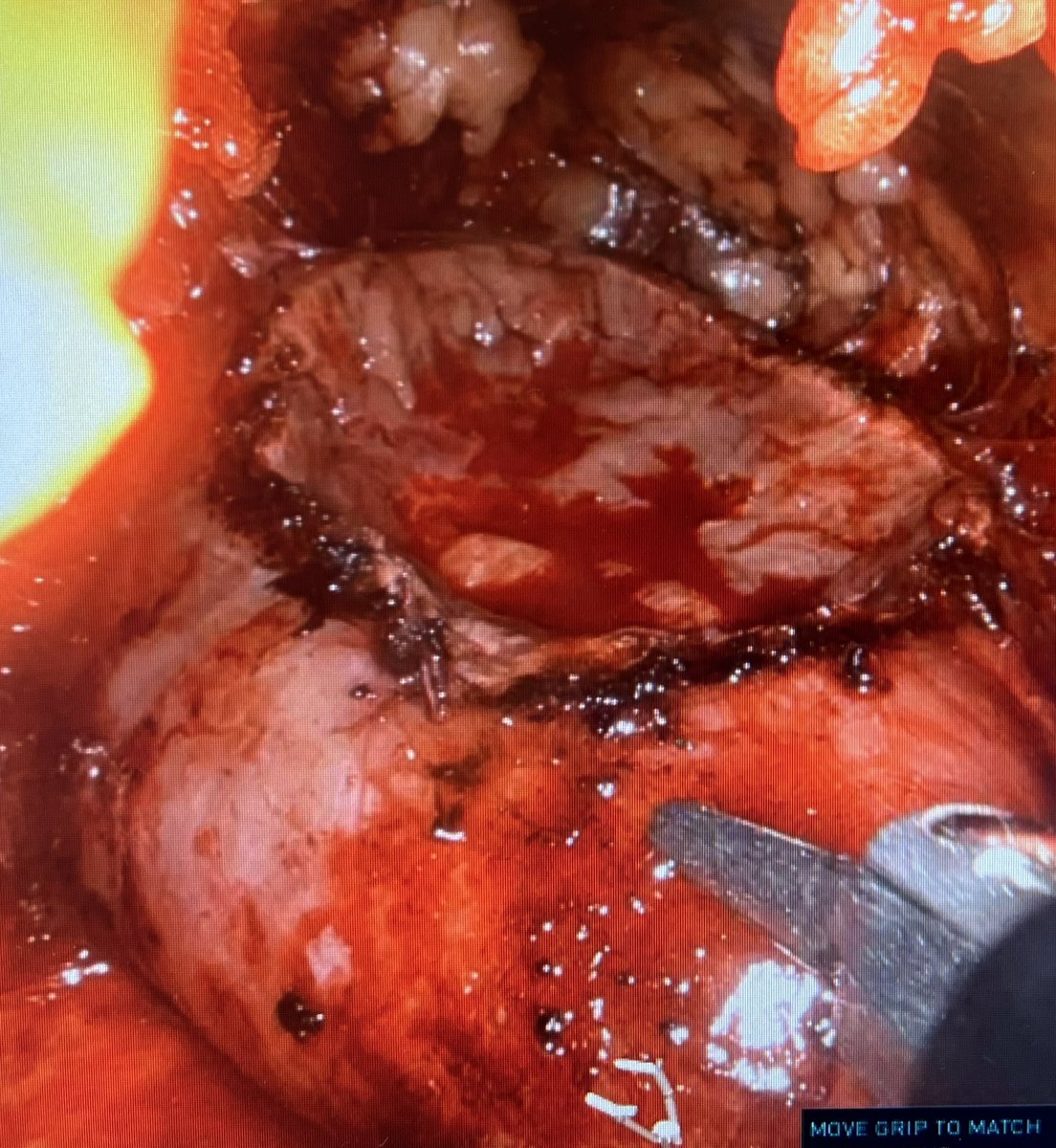 Michael Stifelman tweet media