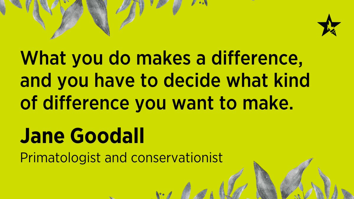 EducationUSAYuc's tweet photo. “What you do makes a difference, and you have to decide what kind of difference you want to make.” – Jane Goodall, Primatologist and conservationist

Take this week to continue to make positive changes to your life and world!  #MondayMotivation https://t.co/nZBXTFnauW