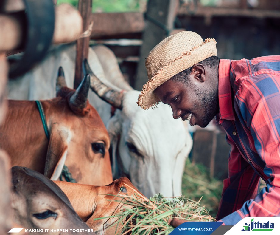 Wealth is for all ordinary South Africans, yes wealth in whatever form or definition can be yours. Let us help you on your wealth journey today. #myithala #Redefiningwealth #Moneytalks