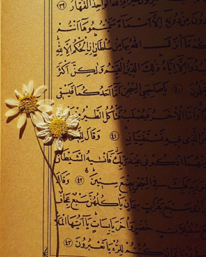 "Halbuki gerçek dost Allah'tır." 

|| Şûra ~ 9 💫
