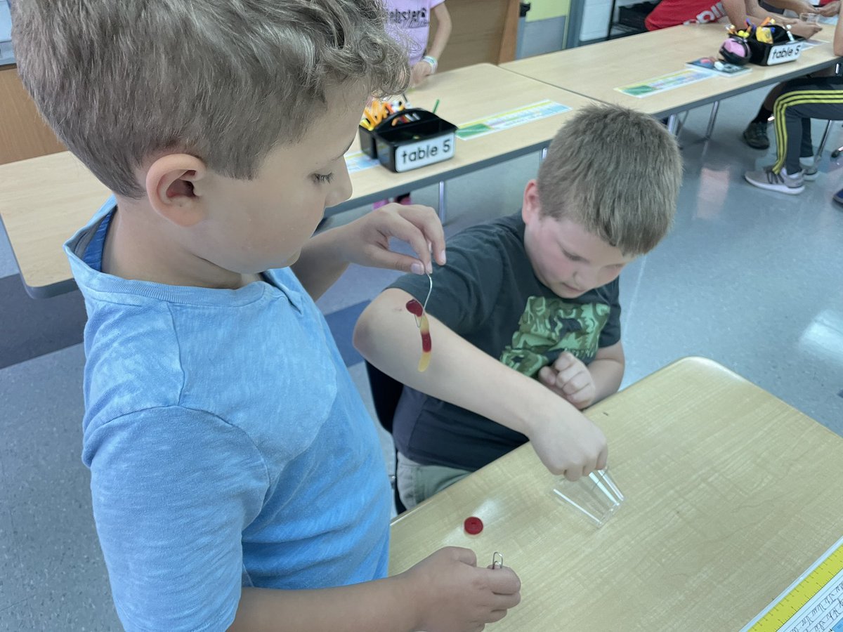 Can we save Fred?? Stay tuned for the results of our latest STEM challenge! #websterwildcats #livoniapride