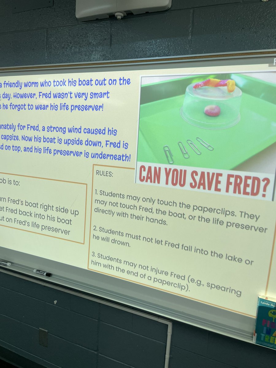pyoungfam2's tweet photo. Can we save Fred?? Stay tuned for the results of our latest STEM challenge! #websterwildcats #livoniapride https://t.co/YBr1gdE17s