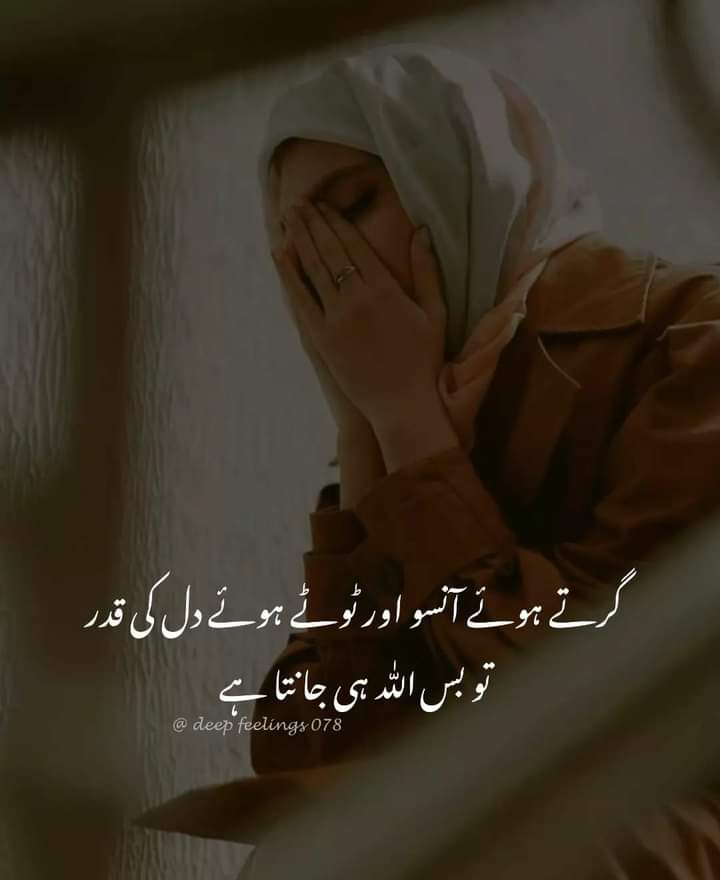 <a href="/pixi3_queen/">Pixi3_queen</a>