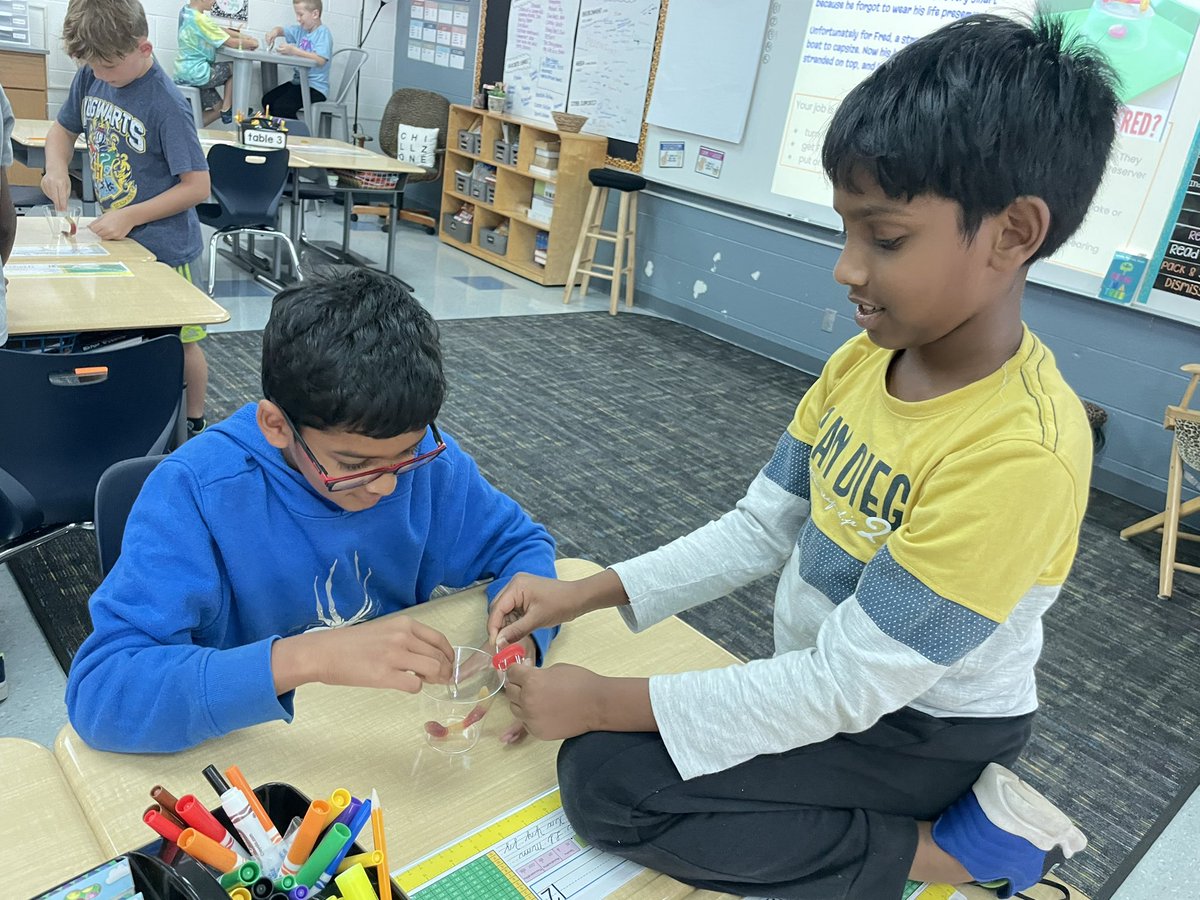 pyoungfam2's tweet photo. Can we save Fred?? Stay tuned for the results of our latest STEM challenge! #websterwildcats #livoniapride https://t.co/2yWK1cEjx8