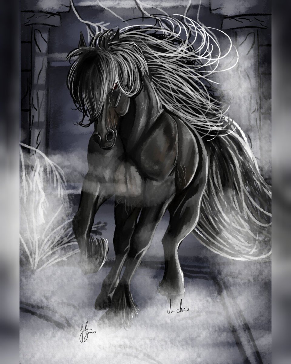 Gothic friesian 2023

#horse #friesian #friesianhorse #cavalo #cavalofrisio