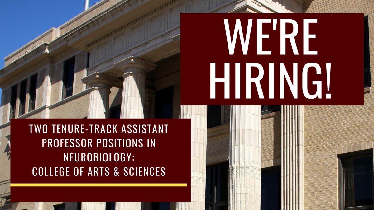 TAMU Biology (@tamu_biology) on Twitter photo We're Hiring! <a href="/TAMU_Biology/">TAMU Biology</a> is hiring two tenure-track Assistant Professors in the area of neurobiology, learn more here: apply.interfolio.com/130001 We're Hiring! <a href="/TAMU_Biology/">TAMU Biology</a> is hiring two tenure-track Assistant Professors in the area of neurobiology, learn more here: apply.interfolio.com/130001