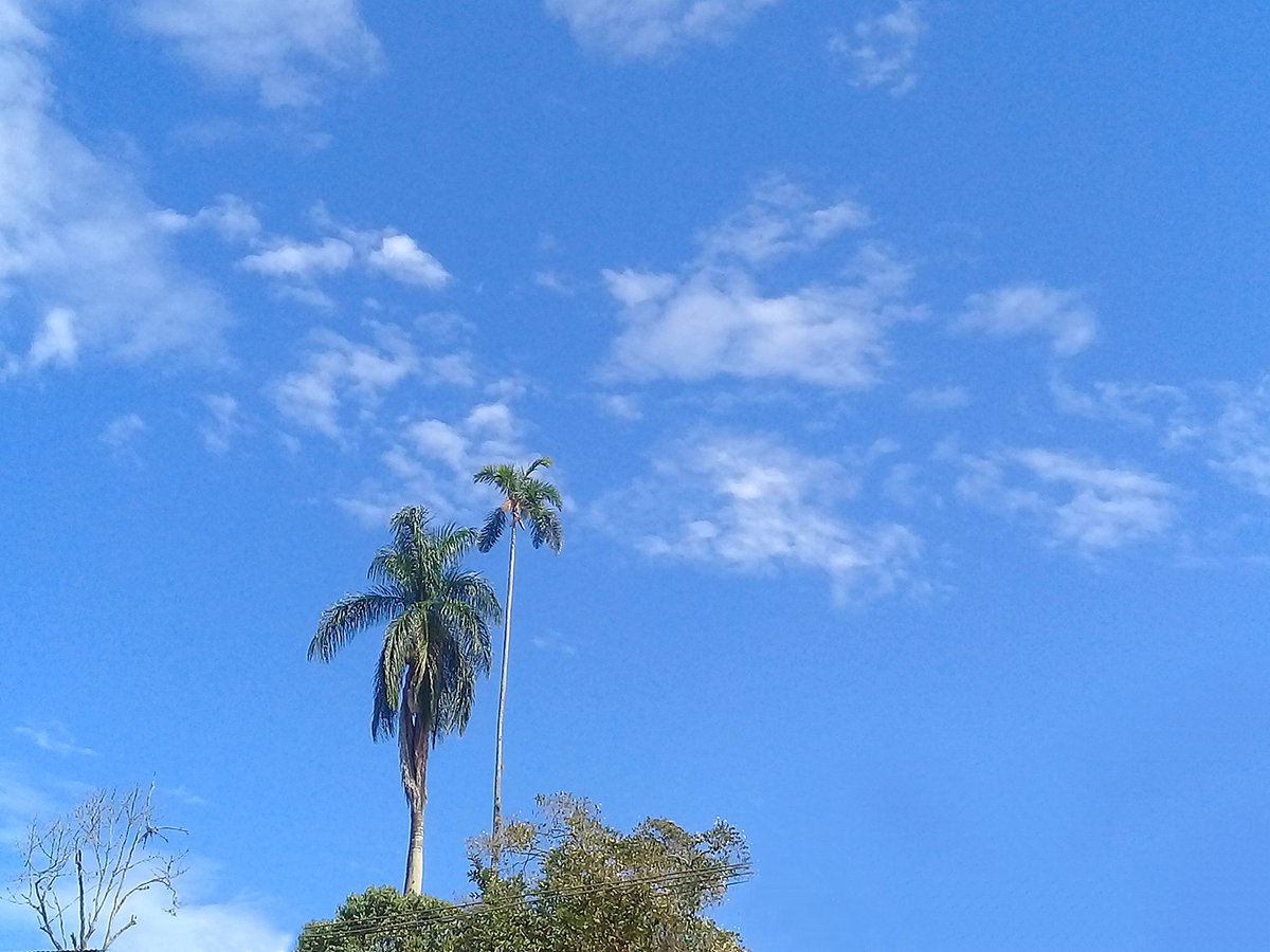 DANIREXHA's tweet photo. 🌴🌴 https://t.co/5q1qd7CKLT