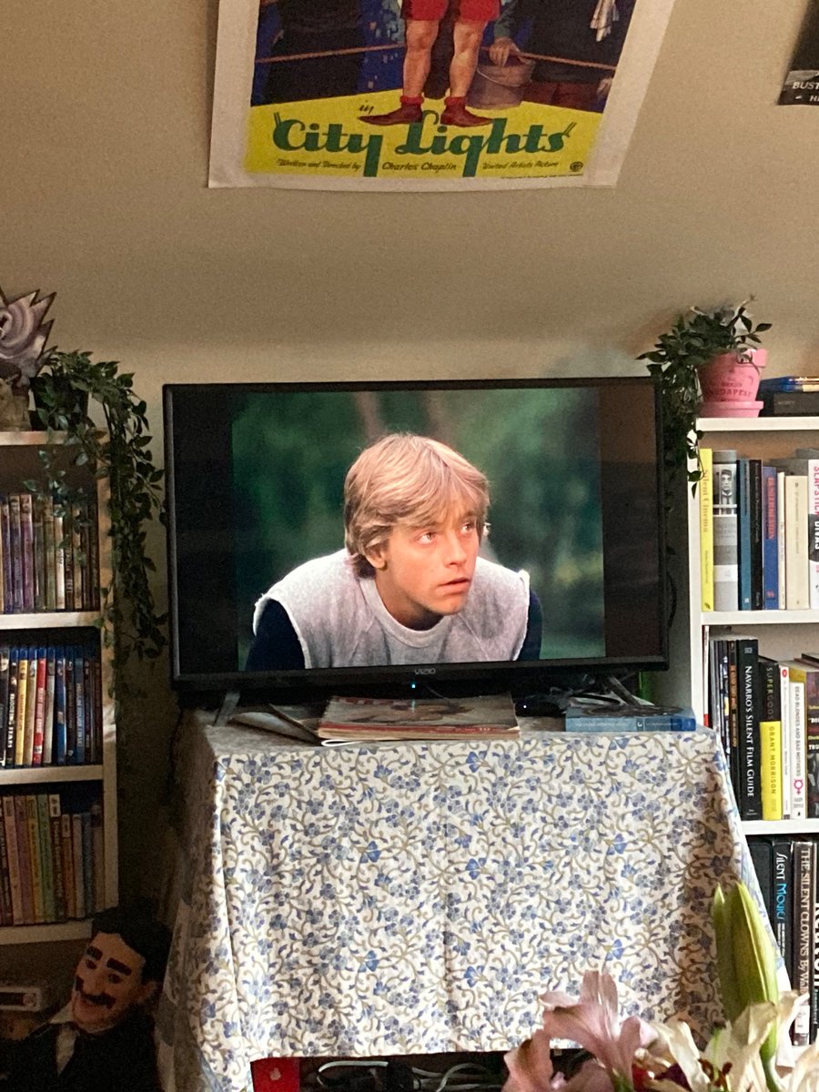 Laid up sick on the sofa and what to my wondering eyes did appear? @MarkHamill on the Eight is Enough pilot. 🥰