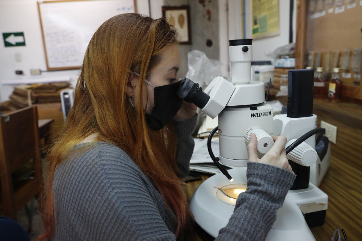 Unidad de Antropología Médica UVG tweet media