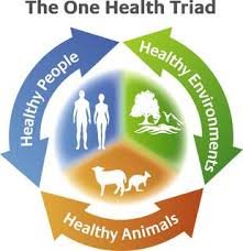 Human, animal, plant & environmental health are all inextricably linked.  

To curb #AMR and it's devastating effects on public health, animal health, food security and Environmental safety. we need to #LeaveNoOneBehind 
#ActonAMR #YouthAgainstAMR #OneHealth