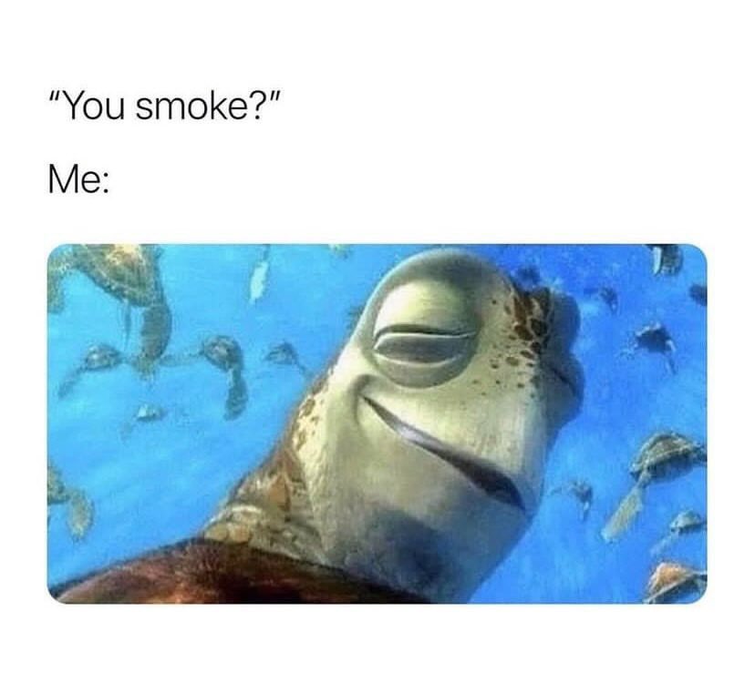 Shitpegs 🧩 (@shitpegs) on Twitter photo 