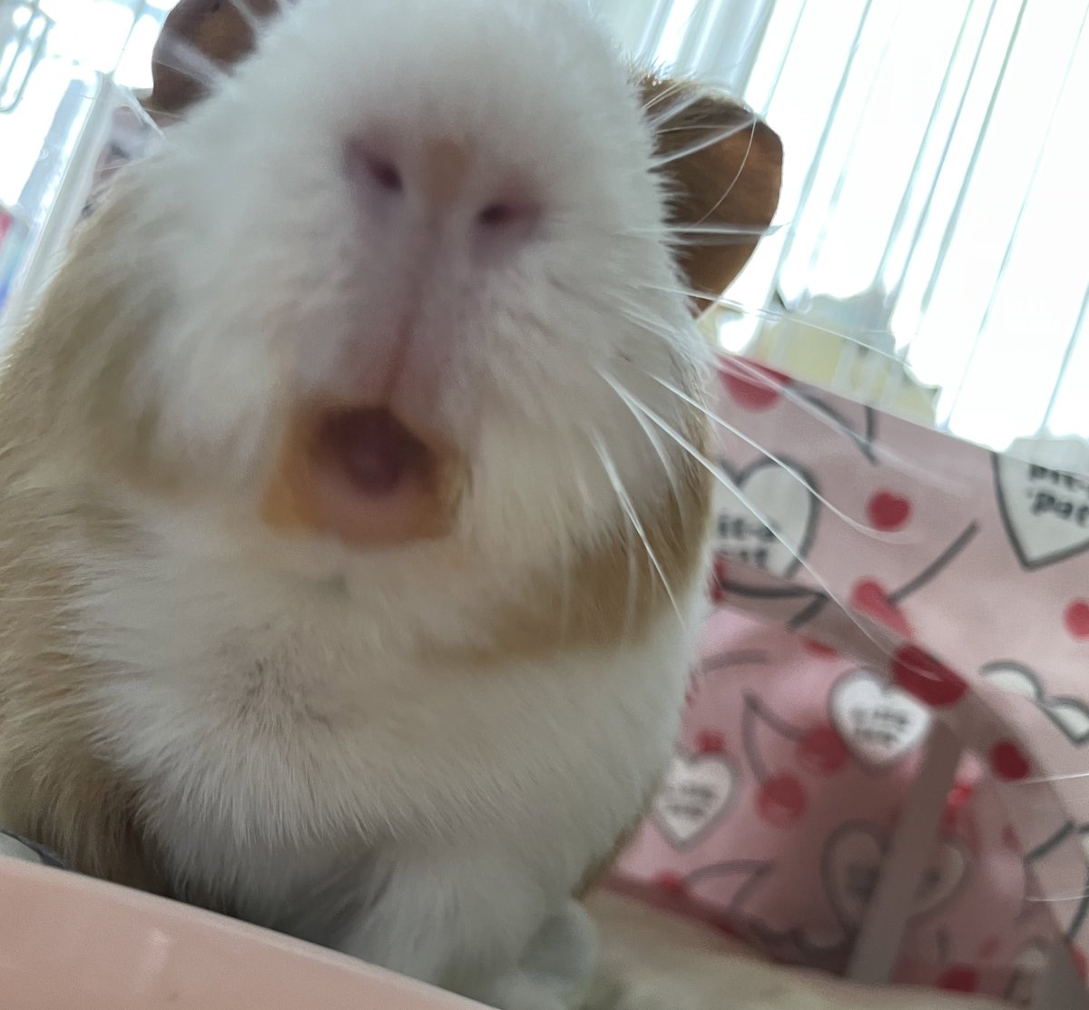 야 이거 맛있다!!!!