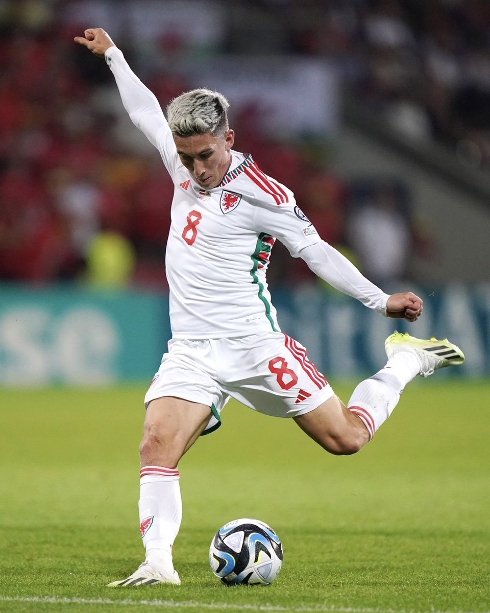 harry wilson tweet media