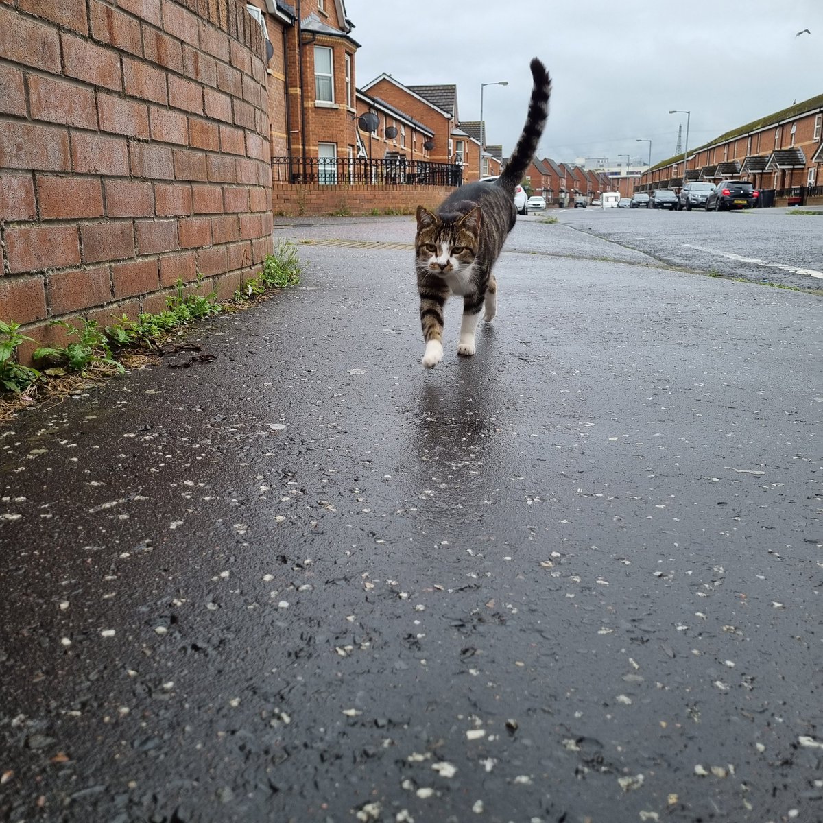 You have one new follower!