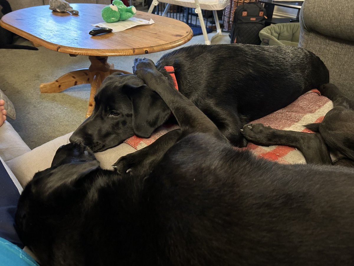 Cazz Brock tweet media