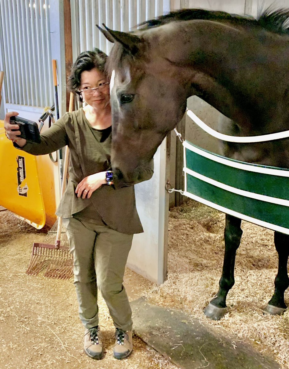 I got to play with horses today for work! #StateGov #Ag #MNLeg