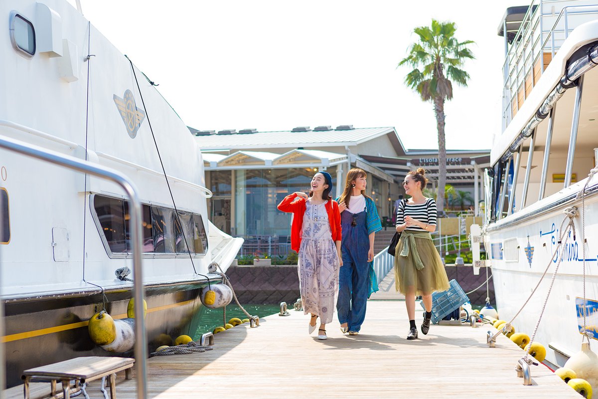 S_Glamping's tweet photo. @otetsutabi せっかくなので宿泊券当選者の方には弊社からイルカウォッチング乗船券もプラスでプレゼントさせて頂きたいと思います！  年間遭遇率90％以上の高確率で野生のイルカに会うことができます！ https://t.co/OTm8COGy1j
