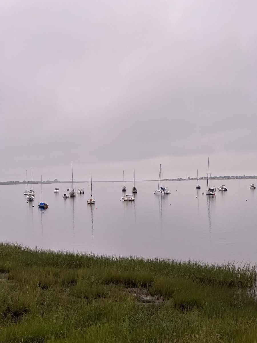 Deb_Farm's tweet image. 