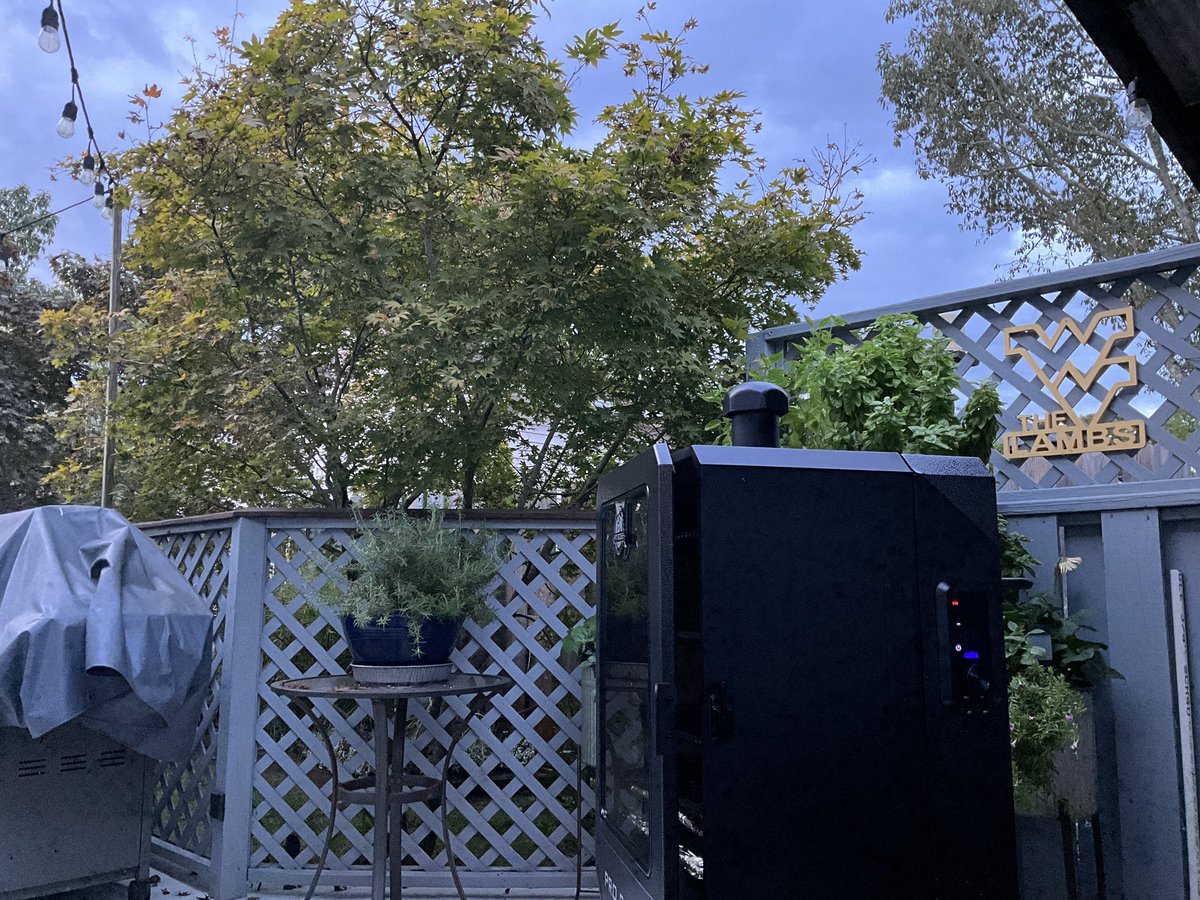 @mcadehaven @Tkoko22 @JoeyAKAFishboy @nynjpaweather @ACPressMartucci @NWS_MountHolly @CountyWx @WxmanFranz Just finished a smoke and hoping the smoker cools down enough to cover before the storms rolls through.