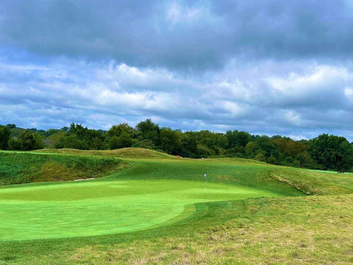 Rick Golfs tweet media