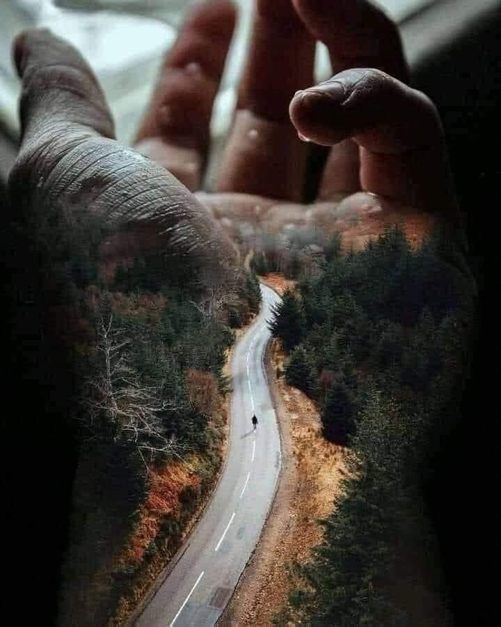 انااا وانت ،،،،
نشبه الحرب والسلاام،،
لا نلتقي ولانفترق،،،
كلانا يبحث عن الآخر،،،
والهدنة بيننا حفنة احلام،،،وموسيقى،،،وقصائد لا تنام,,

باختصار!!!!
لا القدر يجمعنا،،،ولا البعد يفرقنا،،🍒🍒