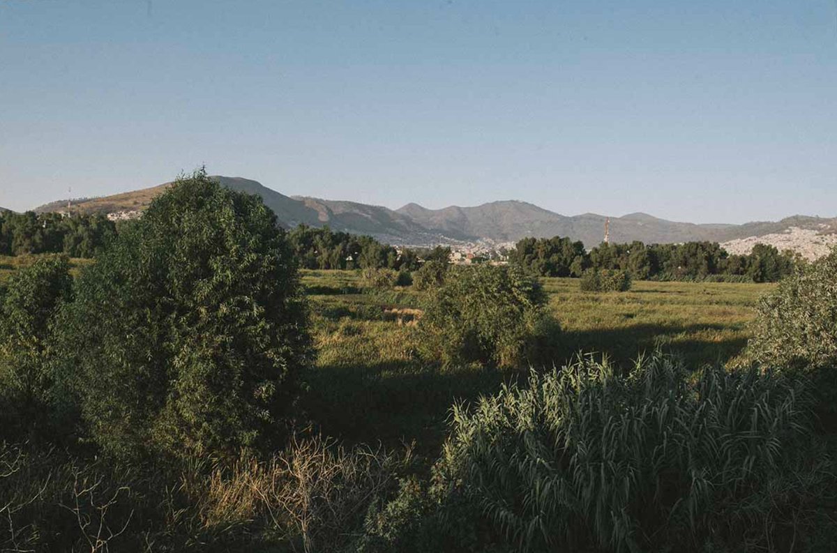 localmx_'s tweet photo. #Caminatas No muchas personas conocen este oasis a un lado de #CalzadaVallejo, pero varios vecinos van a correr, andar en bici, pasear a sus mascotas, hacer un picnic o simplemente olvidarse del ruido. Lee la nota aquí: https://t.co/fAIKTJPUvd https://t.co/EcXmLrIUPX