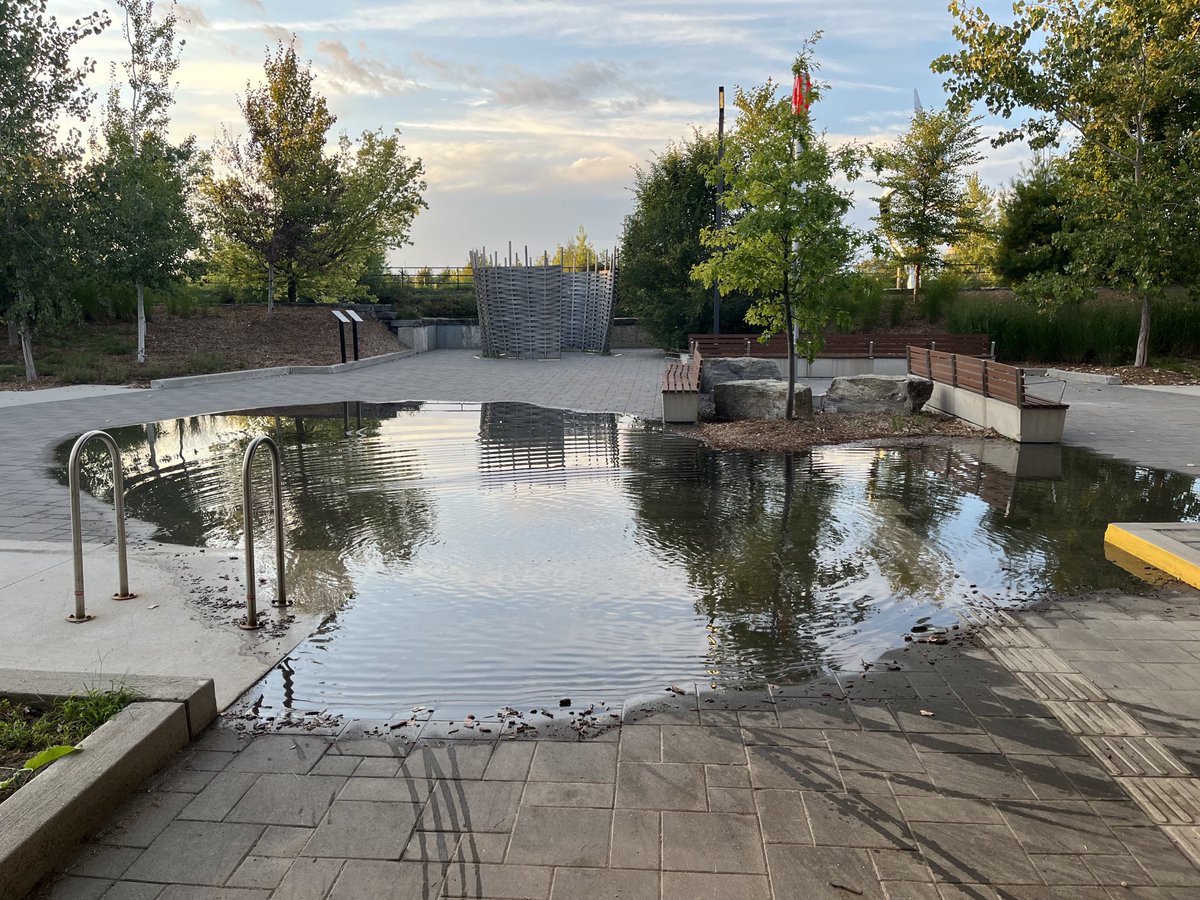 Matthew Pearson tweet media