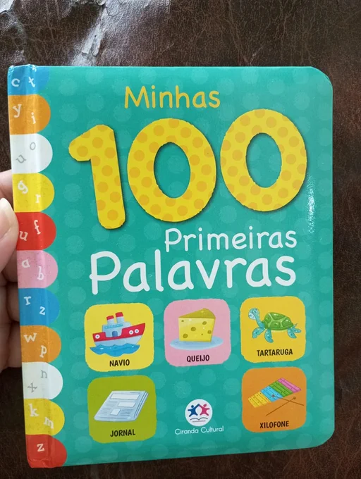 LIVRO Minhas 100 primeiras palavras, Capa dura