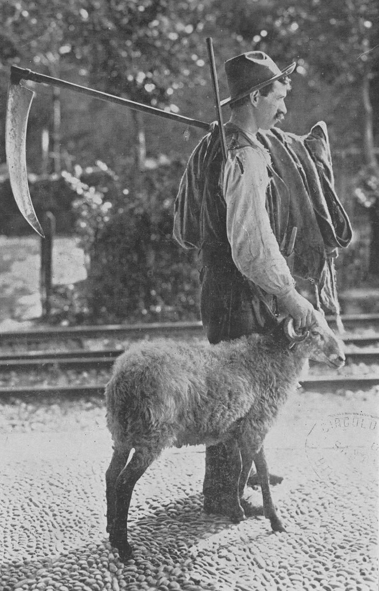 Después de la diaria faena, 1916