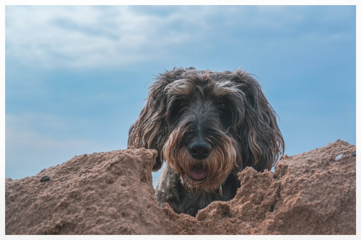 Alice💖 ⭐MIKA⭐ 🎶MUSIC🎶 ✨Check it 🎹 #MNIMH 💛 tweet media