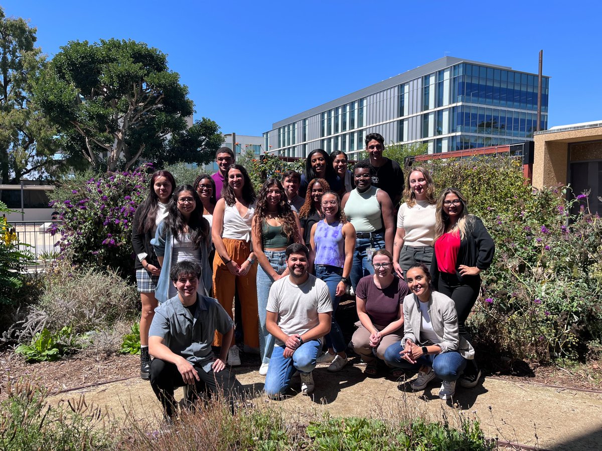 Colors of the Brain tweet media