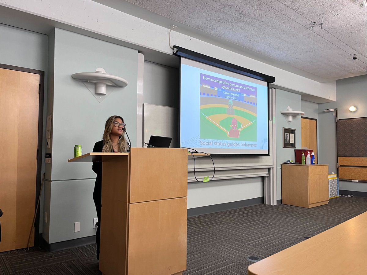 Colors of the Brain tweet media