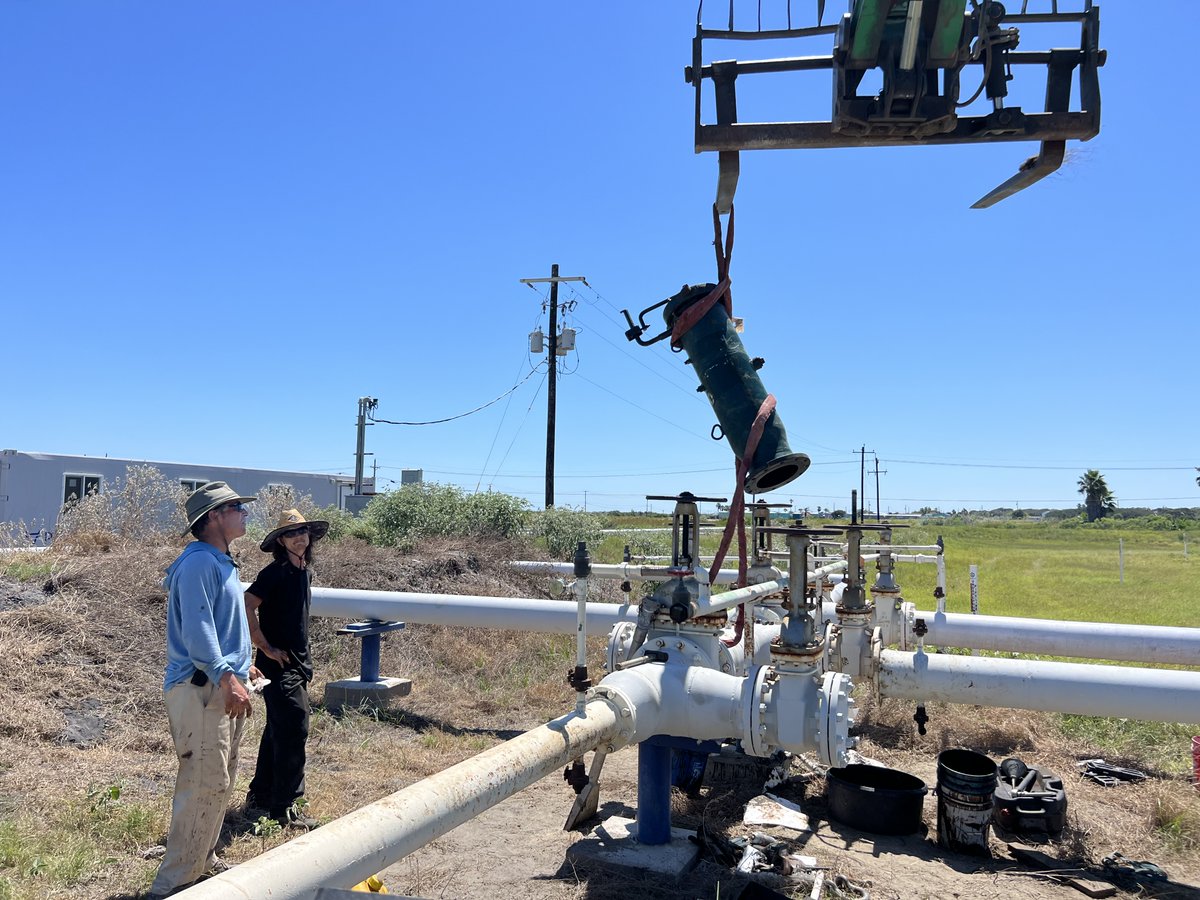 Pigs Unlimited tweet media