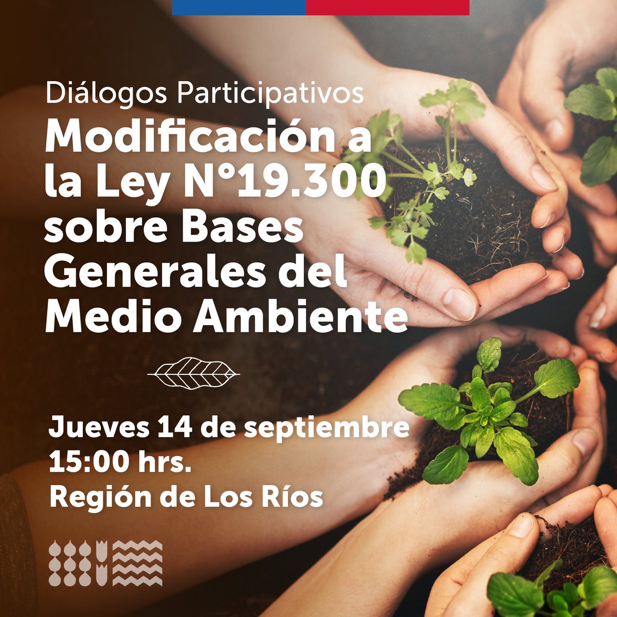 Medio Ambiente Los Ríos tweet media