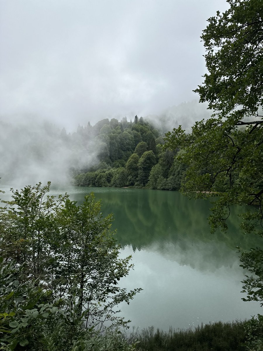 Doğa, huzur..
Artvin/Karagöl☘️🍀