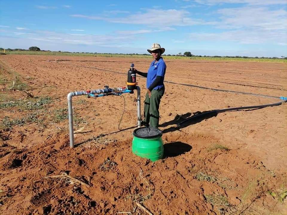 IamOneh's tweet photo. They actually do 😂😂mme ha ba that public ...Please do contact my cousin for any irrigation system designs and installation needs❤️ 

 Contact 74394000 or 74790703 https://t.co/eyDu1j18P2