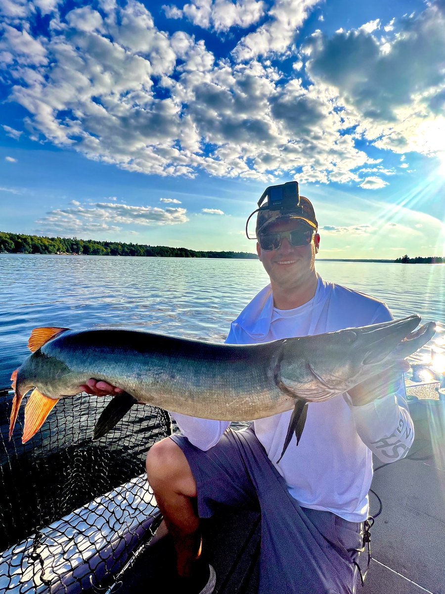 New video tonight, so stay tuned for that! This massive catch was hooked in a previously unexplored location, proving the importance of exploring new waters. Another exciting bucktail fish! #Muskellunge #muskie #Esox #musky <a href="/dalyfishing/">Dalyfishing</a> #bigfish