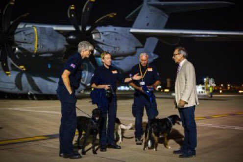 Rosie Dyas روزي دياز tweet media