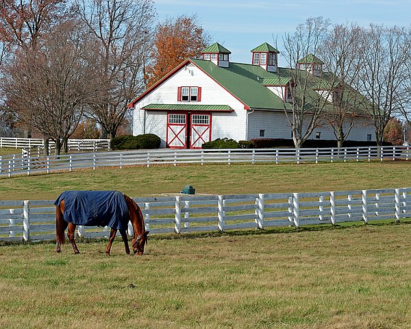 ALERT: Dual Classic Winner, Hall of Famer Point Given Dies bit.ly/3Zf0KEx <a href="/BH_FAngst/">Frank Angst</a> #TC2023