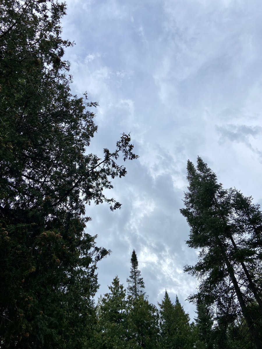 T__Meikle's tweet photo. #practicethepause in whatever way you can to give yourself a sense of grounding and stability! #skywatching is a great way to just be! https://t.co/p0RNVIAMPb