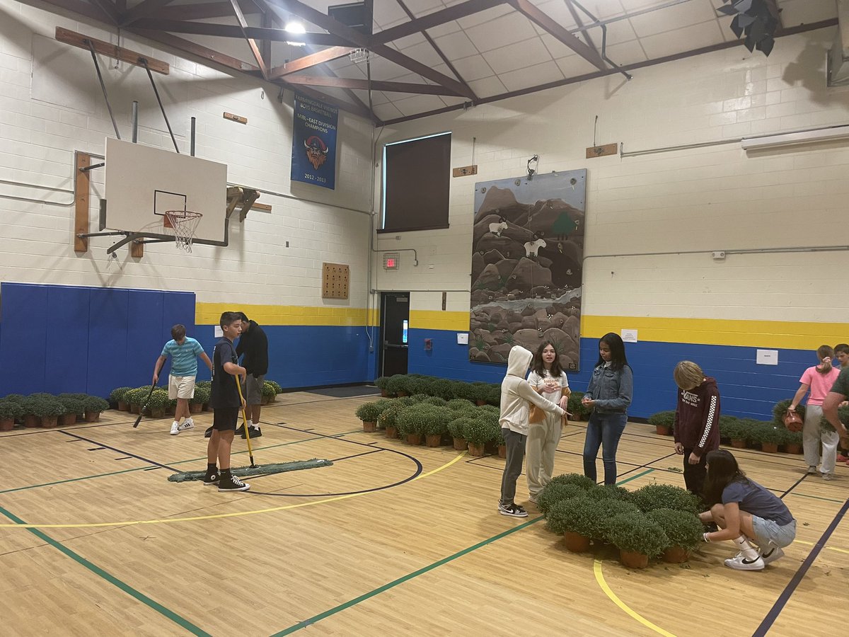 Seems early but mums are here!  Please come and support 8th grade by purchasing mums for $6 starting today after school in the gym! <a href="/FSDVikings/">Farmingdale School</a>