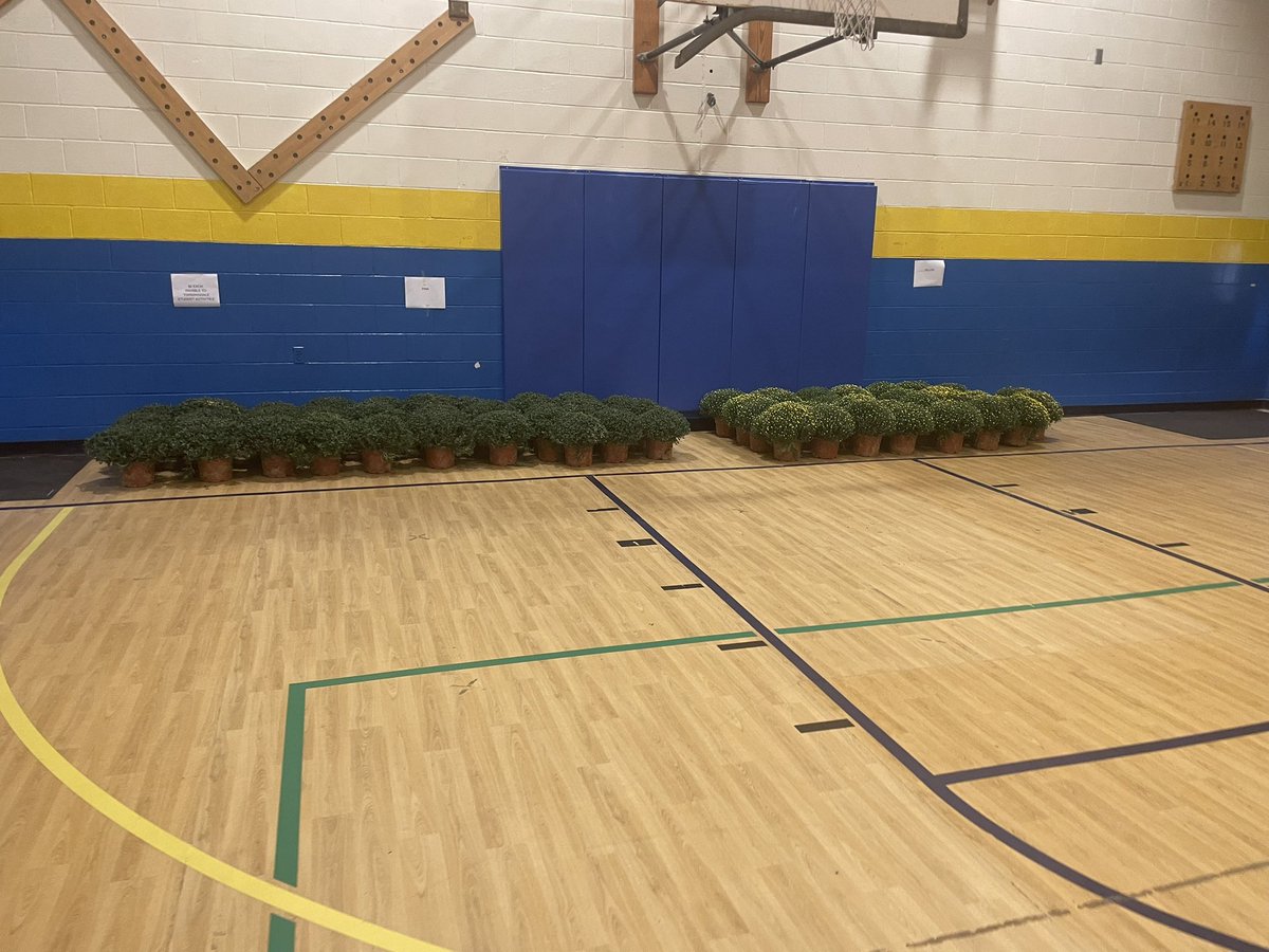 Mrs. Prochnow tweet media