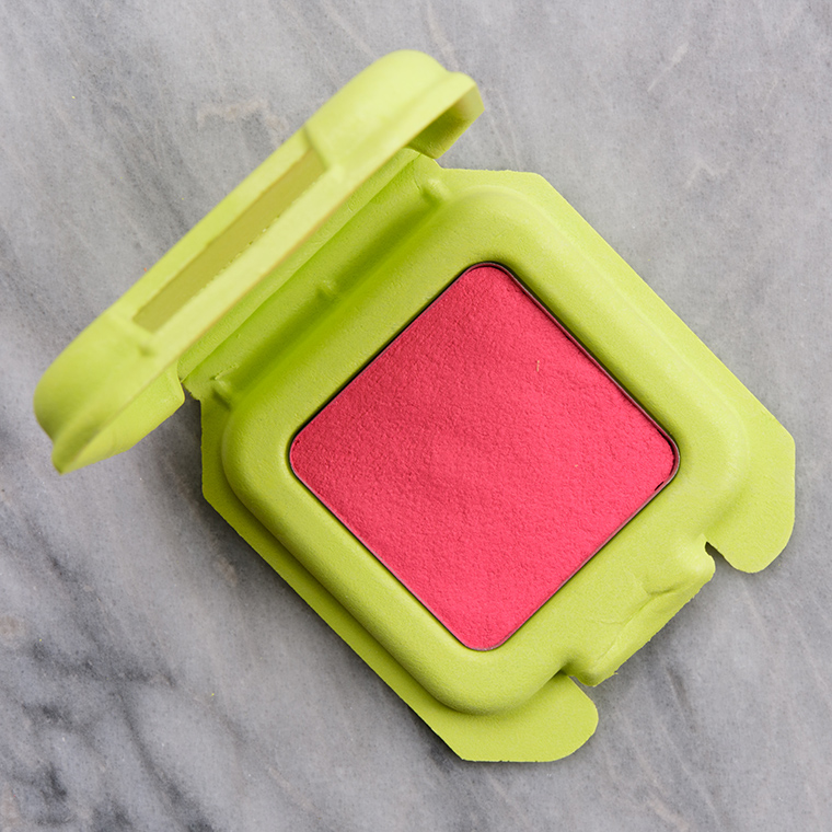 Temptalia tweet media