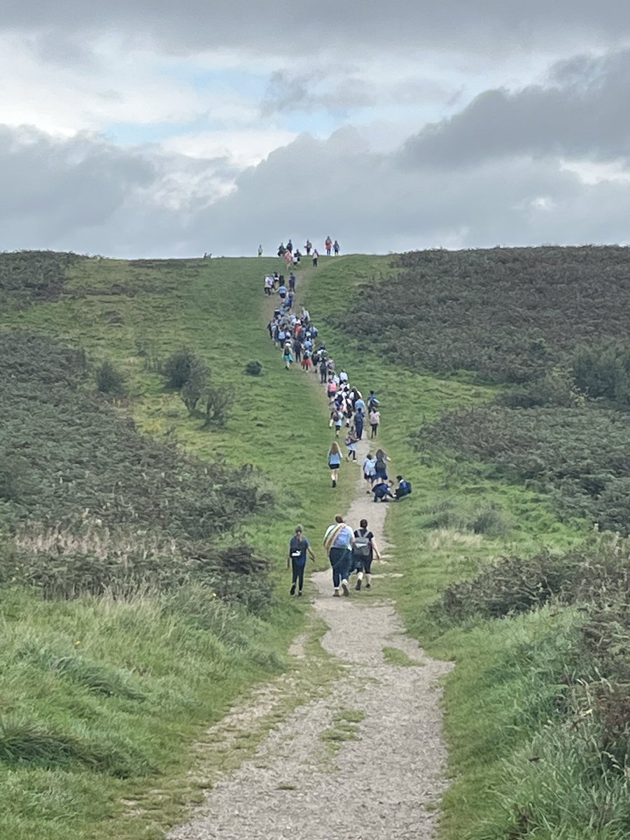 Peter Lea Primary tweet media