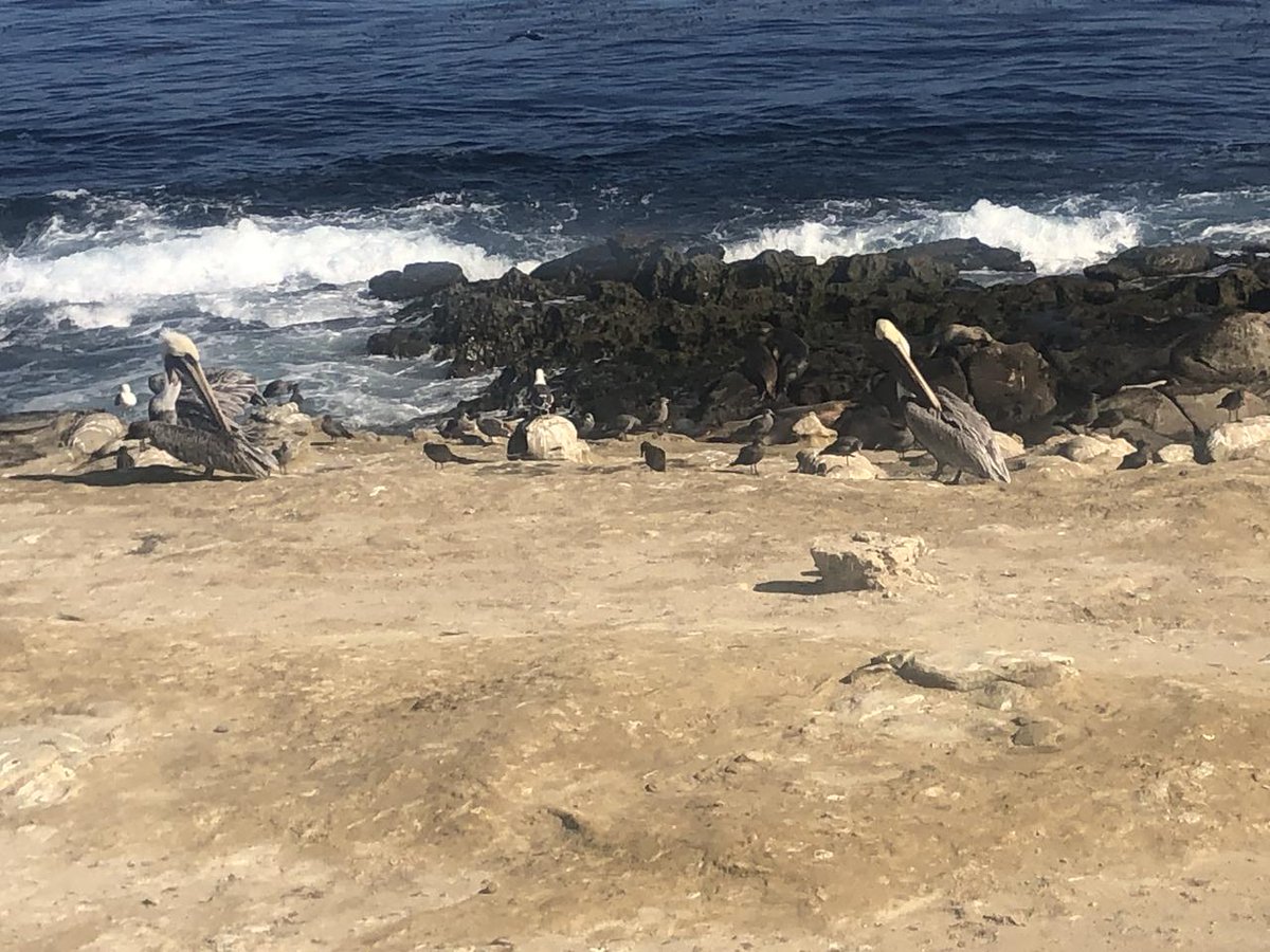 A new moment was just added on Metablox.co - check it out here: metablox.co/moment/1553. 
#web3 #Memories #nfts #OnPolygon #blockchain