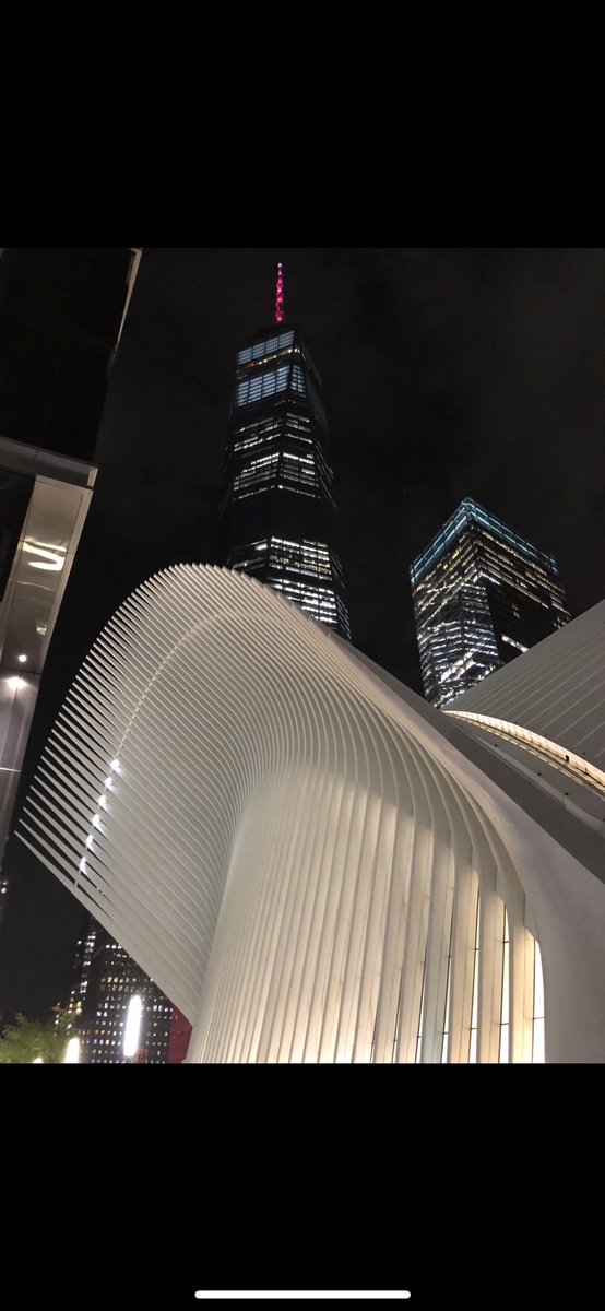 David Timms tweet media