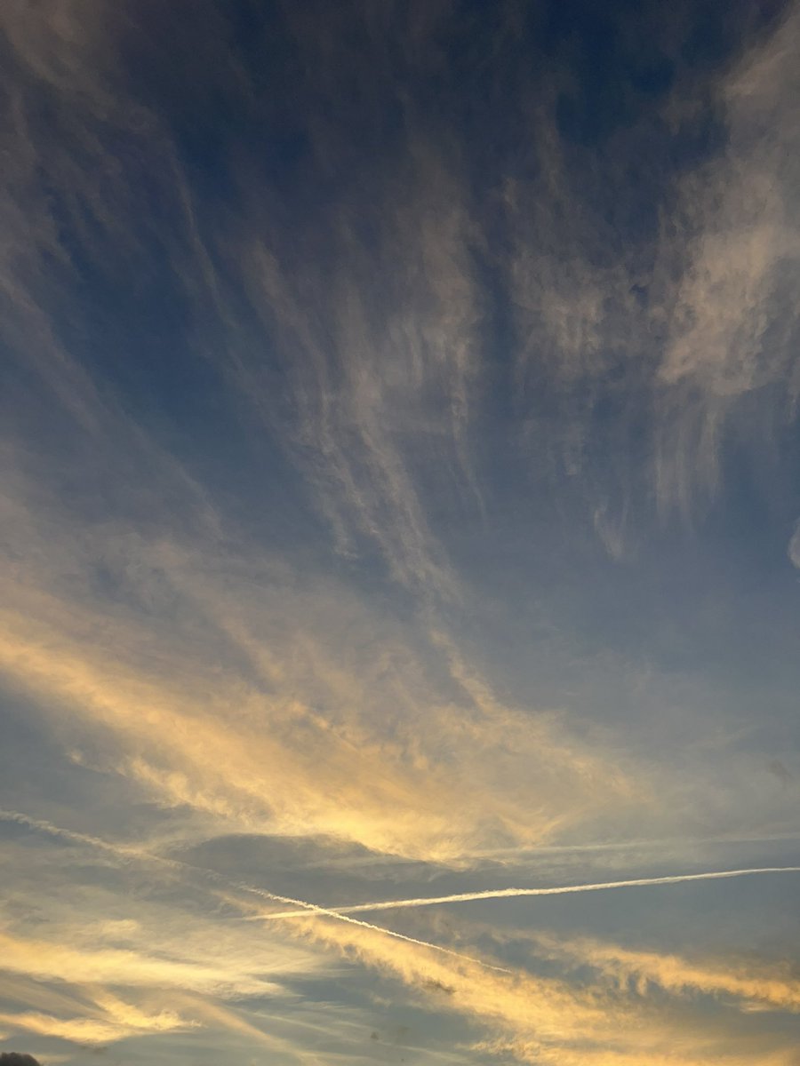 David Timms tweet media