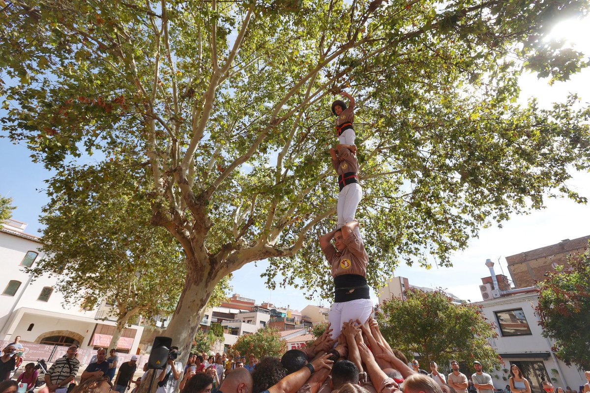 Matossers's tweet photo. Bona diada de part de totes i tots els matossers!

Avui hem fet un pilar a la Plaça del Palau en el marc de l'ofrena de flors.

Hem pogut gaudir de l'ambient junt amb altres entitats del poble.

Visca Catalunya!
 
#castells #castellers #diada #Matossers #11s #MolinsdeRei https://t.co/PNyVpEXm6v
