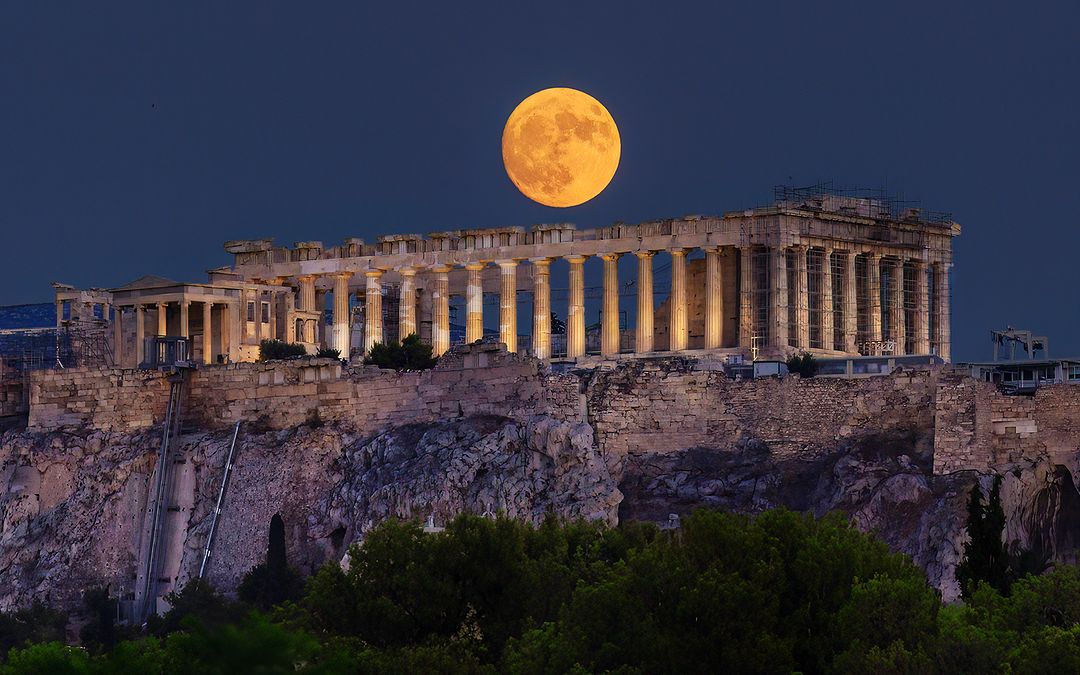 🌜moonlight🌛 tweet media